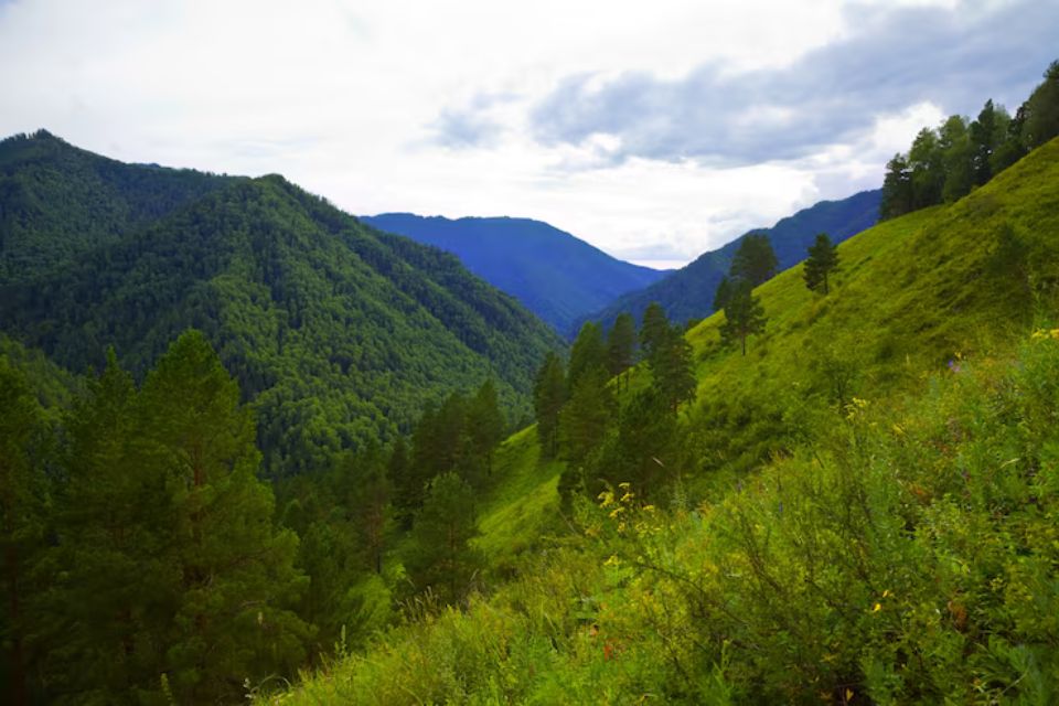 A landscape of green grassy hills and mountains