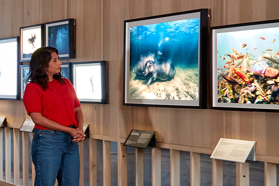 A woman in a photo gallery looks at an image of two hippos underwater